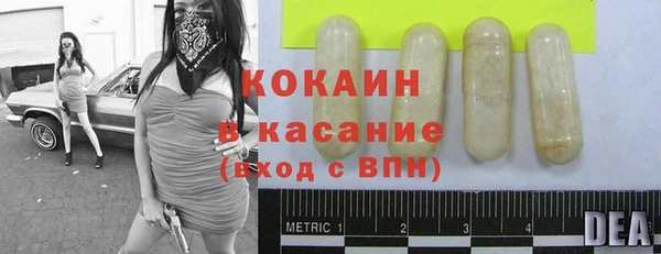 твердый Алексин