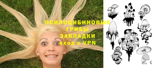 MDMA Алексеевка