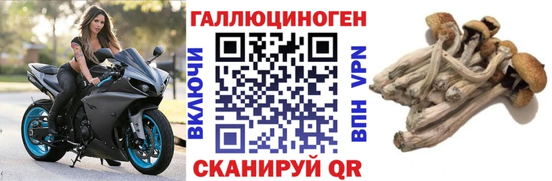 наркота  Бирюсинск  Псилоцибиновые грибы мицелий 